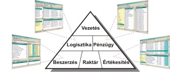 Szervezeti felépítés Szervezeti felépítés